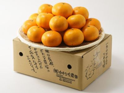 添田農園・柳蓮田海老芋（3kg） | 安心堂 食のSELECTネットショップ