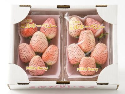 やまいち鈴木農園・ル レクチエ10玉(3.7kg)【秀品】 | 安心堂 食の