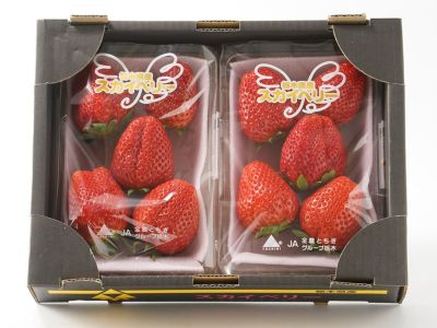 大矢野有機農産物供給センター・天草産パール柑【中玉】（9kg）20玉