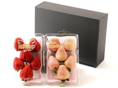 陽のあたる桃園・柳蓮田白桃 忘れ水（超大玉400g×2玉入り） | 安心堂