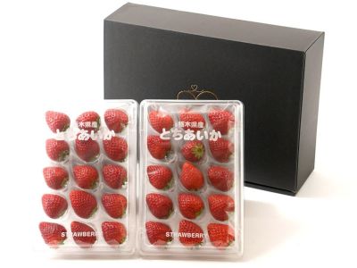 常吉いちご園・久能石垣いちご【品種：赤い真珠】（約330g×2パック