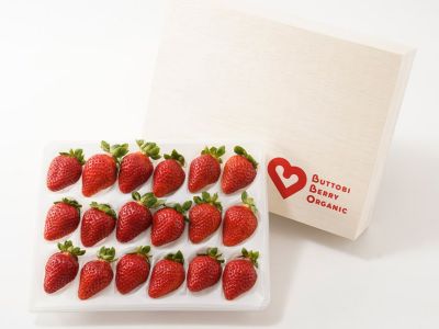 BUTTOBI BERRY ORGANIC・オーガニック苺【さちのか】中粒18粒（380g
