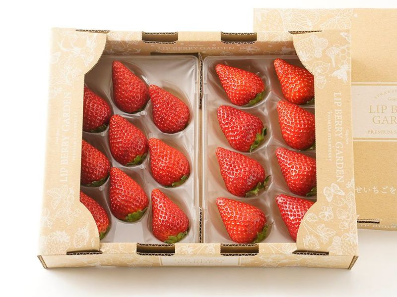 Lip Berry Garden・古都華プレミアムセレクト（250g）×2パック | 安心